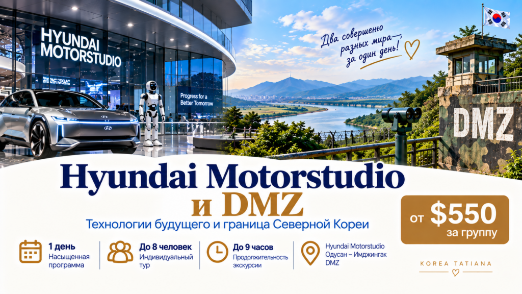 dmz moto
